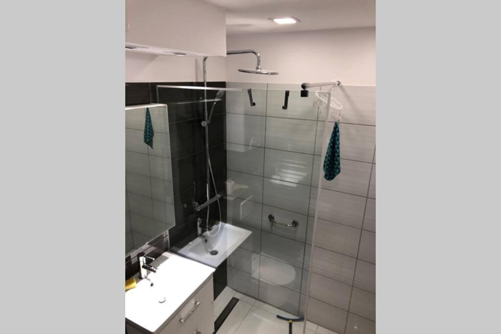 Apartament Sikornik Ґлівіце Екстер'єр фото
